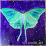 Luna Moth