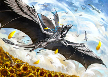 Freedom