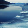 Perched on the Ice II