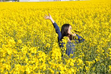 Joy of the Rapeseed