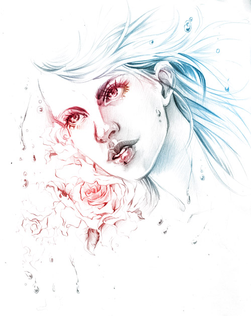 Fire and Ice Portrait Commission