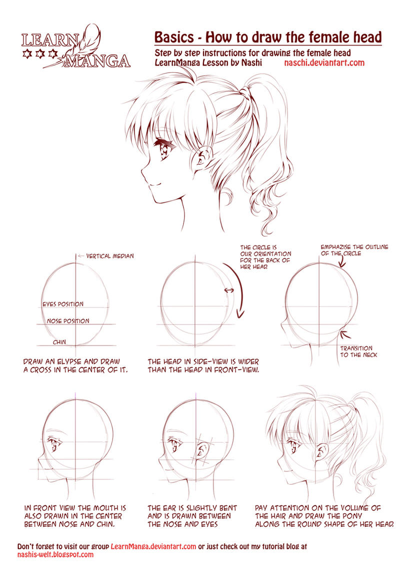 Learn Manga: How To Draw The Female Head Side By Naschi On Deviantart