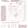 Learn Manga: body proportions