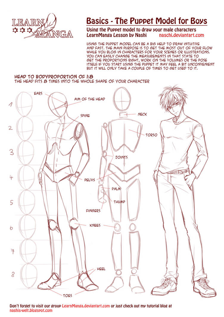 Learn Manga: How to draw the female head front by Naschi on DeviantArt
