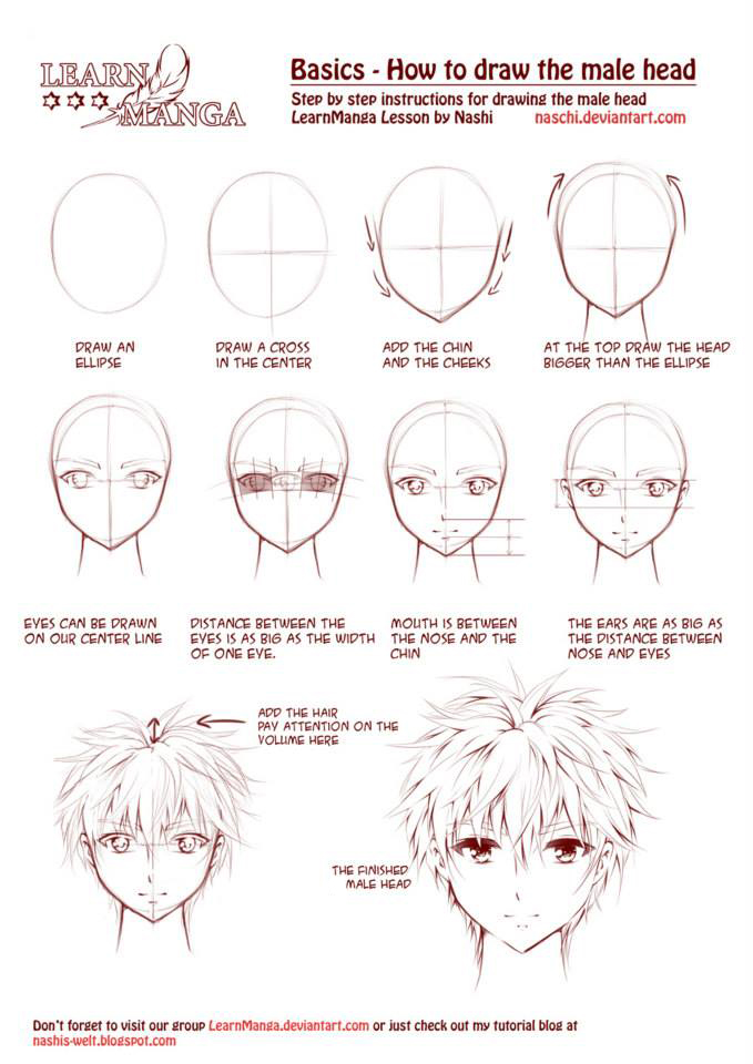 Learn Manga: How to draw the male head front by Naschi on DeviantArt