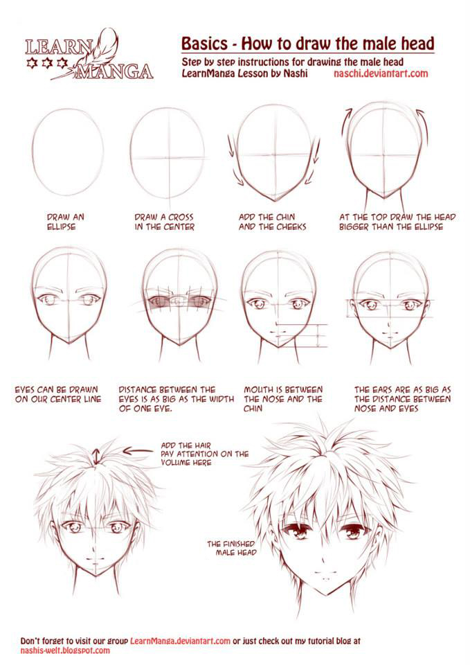 Learn how to Draw a Head step by step