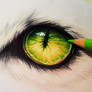 Creature eye