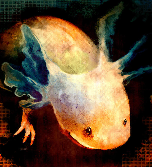 Shining Axolotl