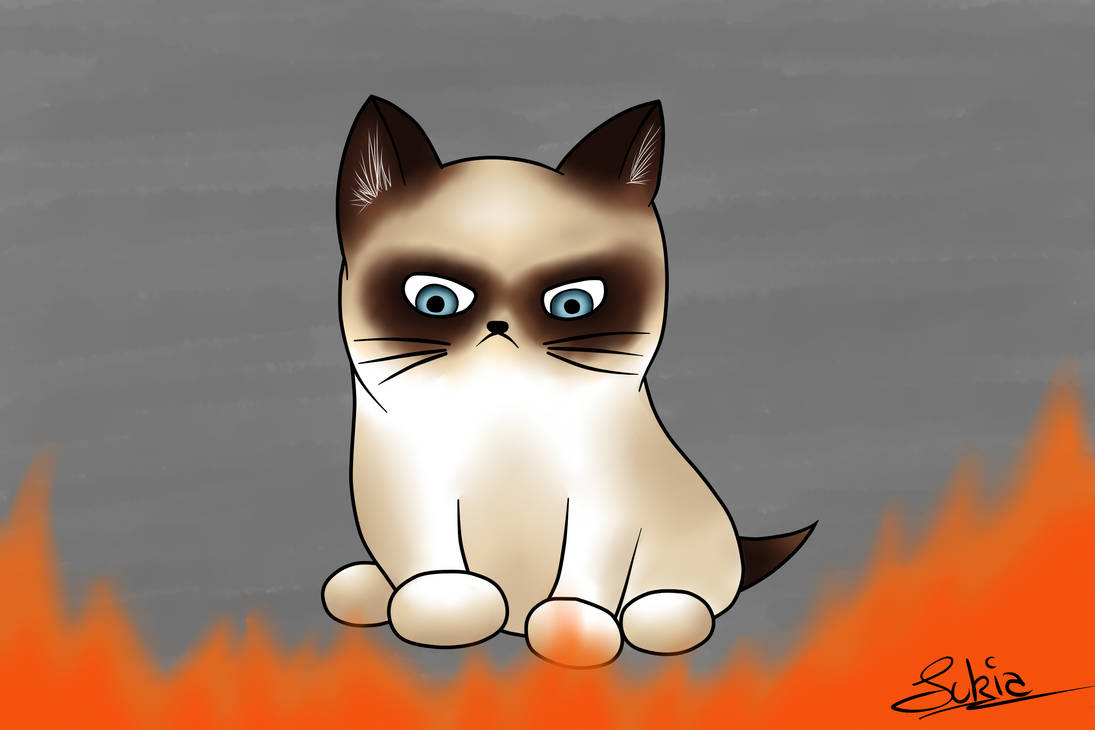 Grumpy Cat Rip Deviantart Grumpy Cat by Schnurzelpurzel on DeviantArt
