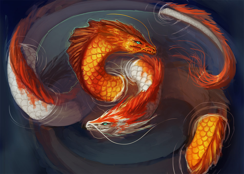 Koi Fish Turning Into Dragon