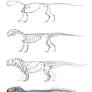 Creature Anatomy lesson1_Generic Tetrapode