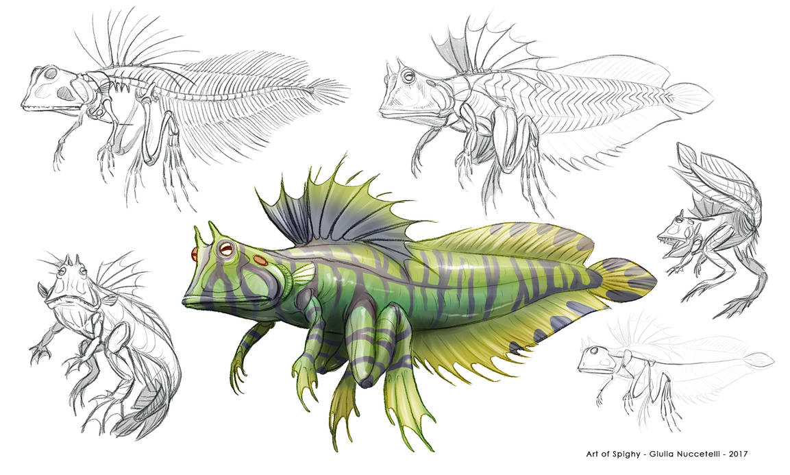 Creature Anatomy lesson2_Fish Amphibian hybrid by Spighy on DeviantArt