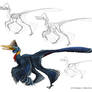 Creature Anatomy lesson3_Bird Microraptor hybrid