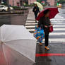 Rainy Crosswalk