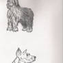 Drawing of dogs