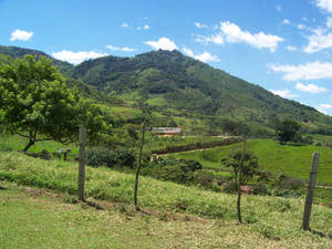 Finca