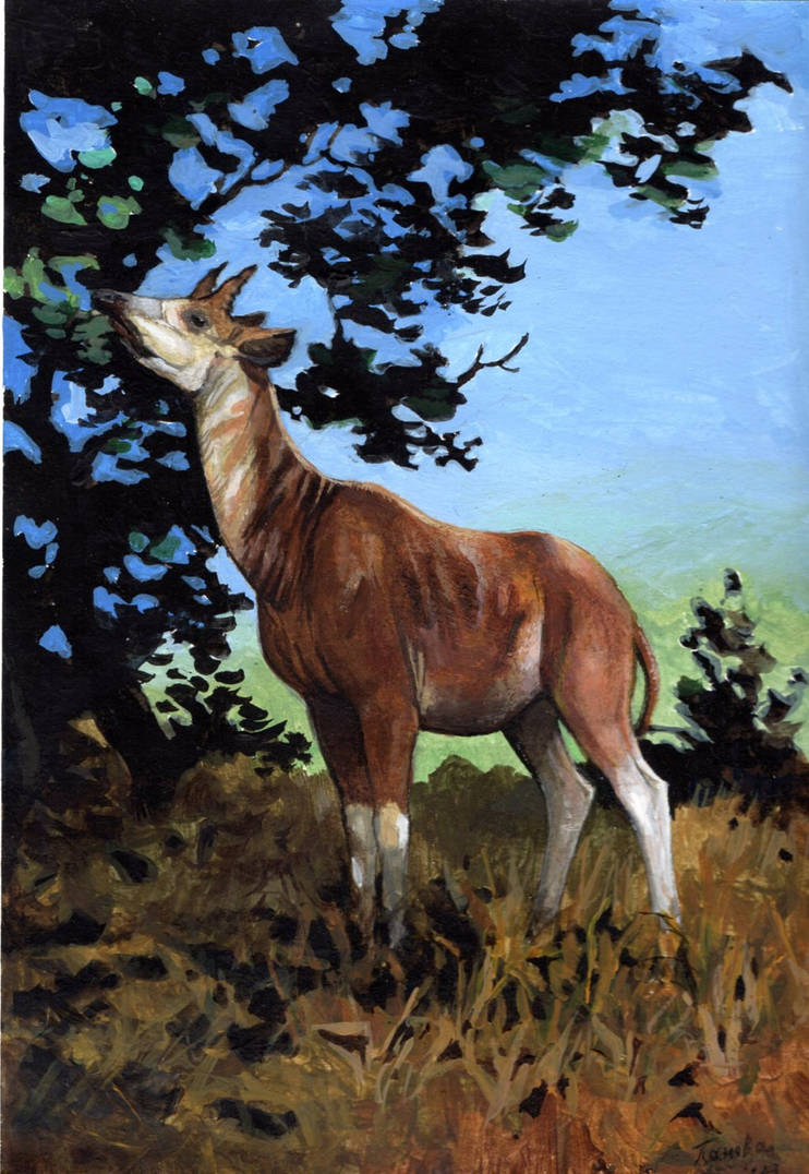 Africanokeryx leakeyi by OrsoMoretti on DeviantArt Africanokeryx leakeyi by OrsoMoretti on DeviantArt