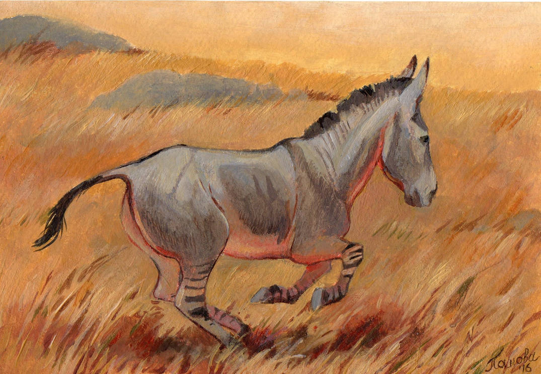 Equus hemionus hydruntinus by OrsoMoretti on DeviantArt