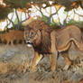 Panthera leo europaea