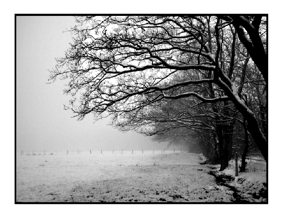 Static SnowTree