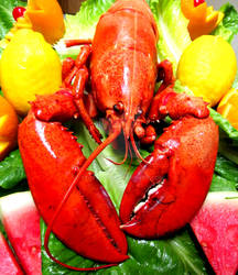 COOKED LOBSTER
