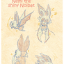 Nemi The Shiny Noibat