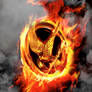 The Mockingjay Pin