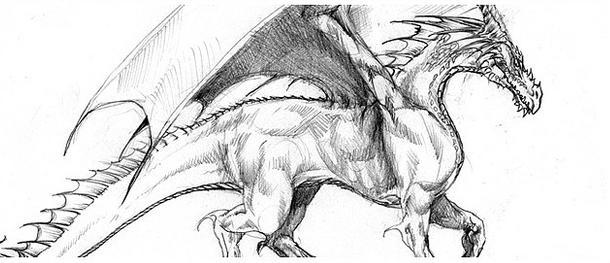 dragon sketch 1