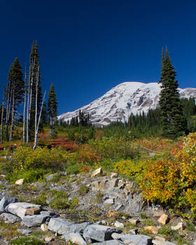 Mount Rainier