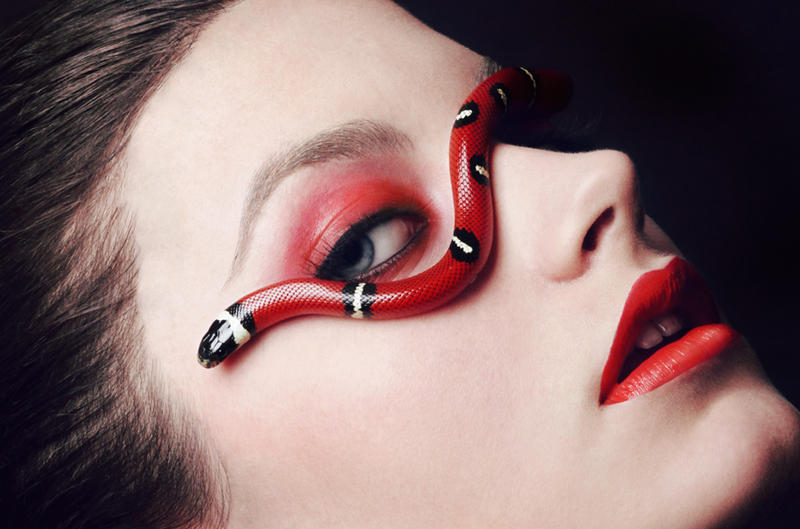 Python Series - Milk snake II by diginoobSI on DeviantArt