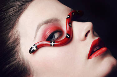 Python Series - Milk snake II