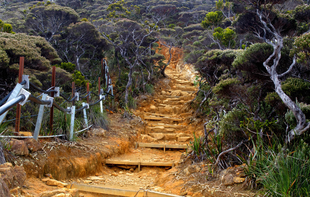 Trail to Mt. Kinabalu