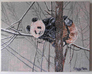 Panda in winter