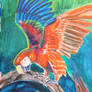 Red Parrot Gouache