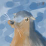 Sea Lion