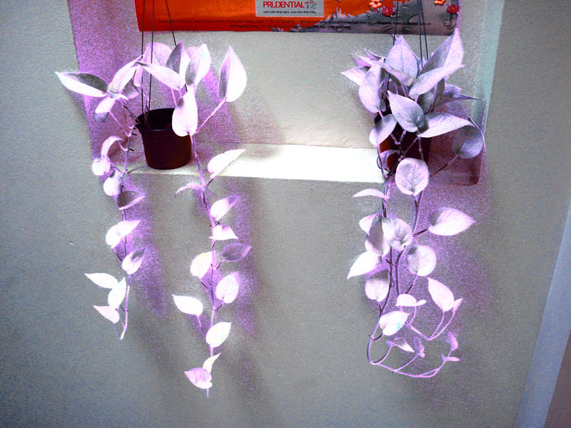 Mutanted II by lotring on DeviantArt