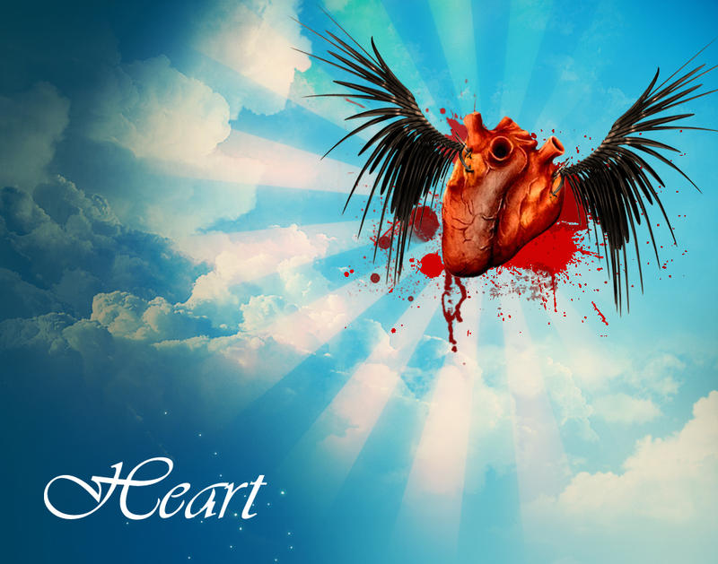 Corazon by nande12 on DeviantArt