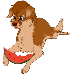 Watermelun 8D