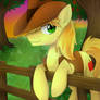 Braeburn