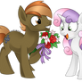 Button Mash and Sweetie Belle