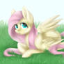 Fluttershy + Speedpaint