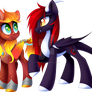 Pony Friends [C]