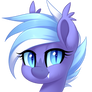 Headshot | Commission