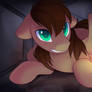 Pone Hard | Commission