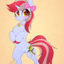 Cinnamon - COMM