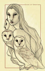 The owl witch