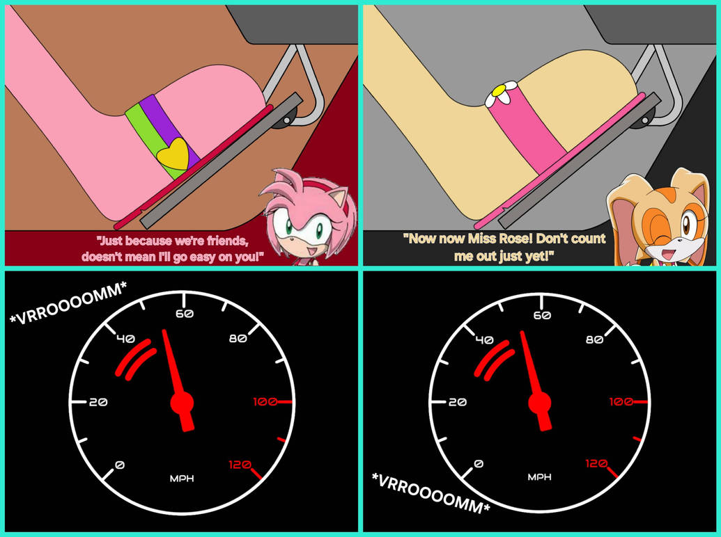 Deviantart Amy The Rabbit A Friendly Rivalry: Amy Rose vs Cream the Rabbit by GJ8ARRETT-1 on ...