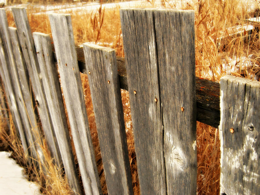 Prairie Fences of Another Type