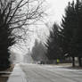 Rain-swept Street