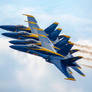 U.S. Navy Blue Angels